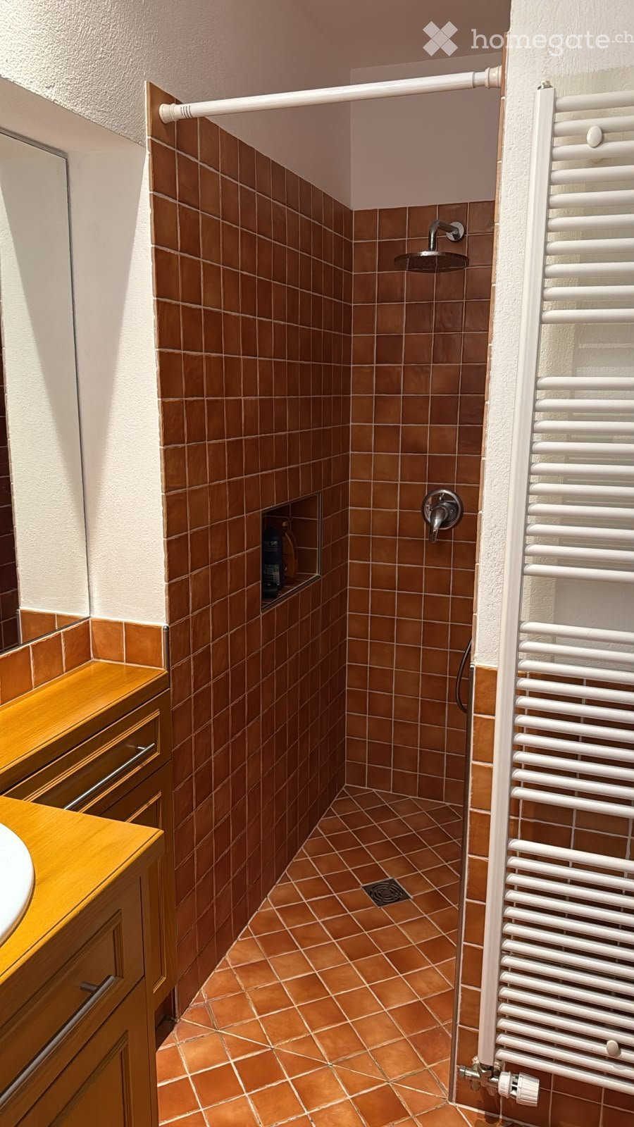 3 ½ Zimmer Wohnung