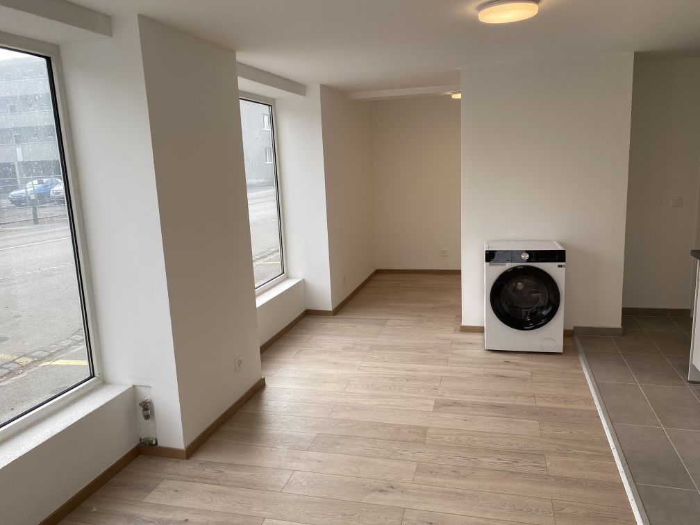 Appartamento di 1 ½ locali