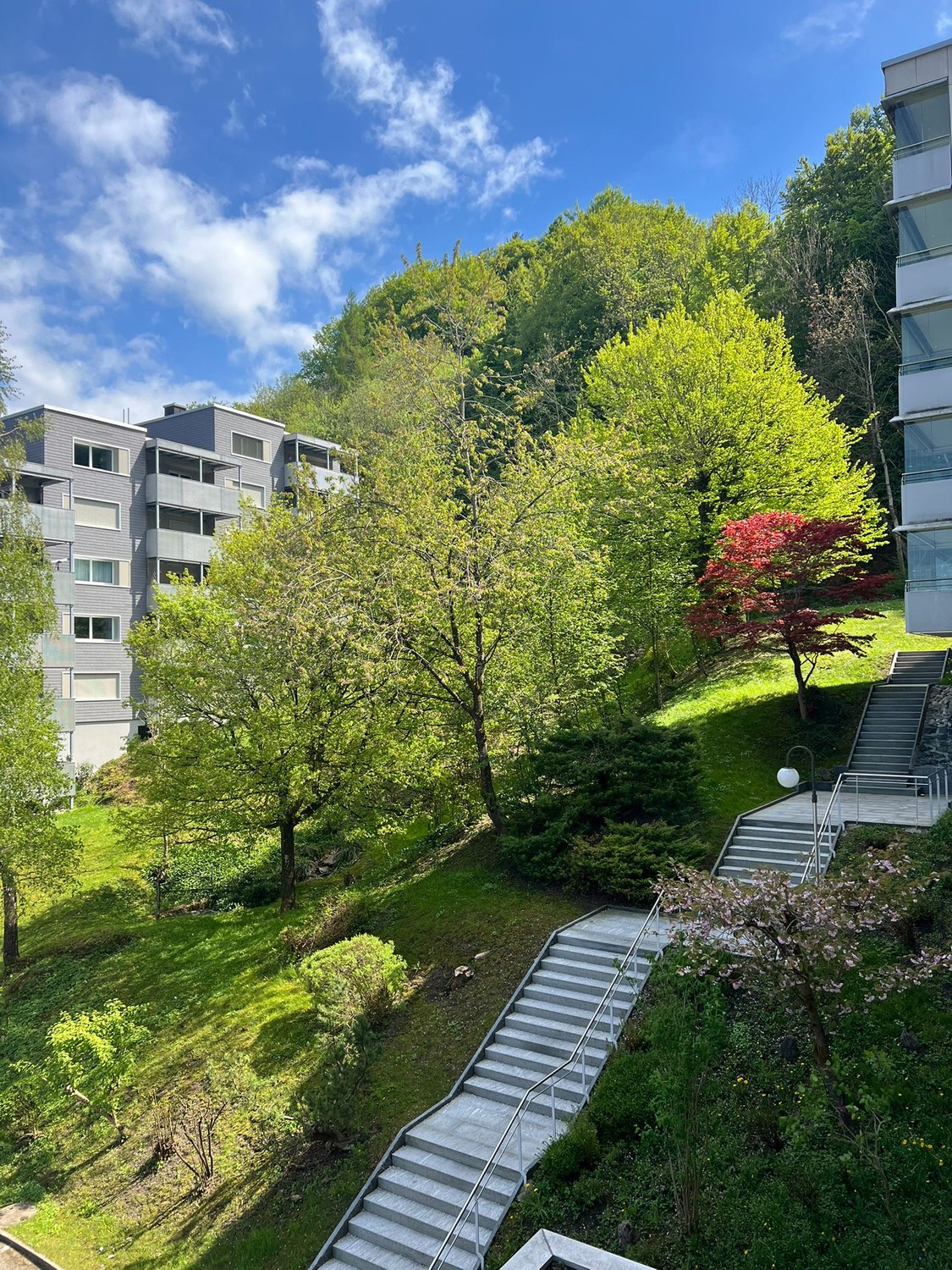 Appartamento di 1 ½ locali, foto 6 di 8