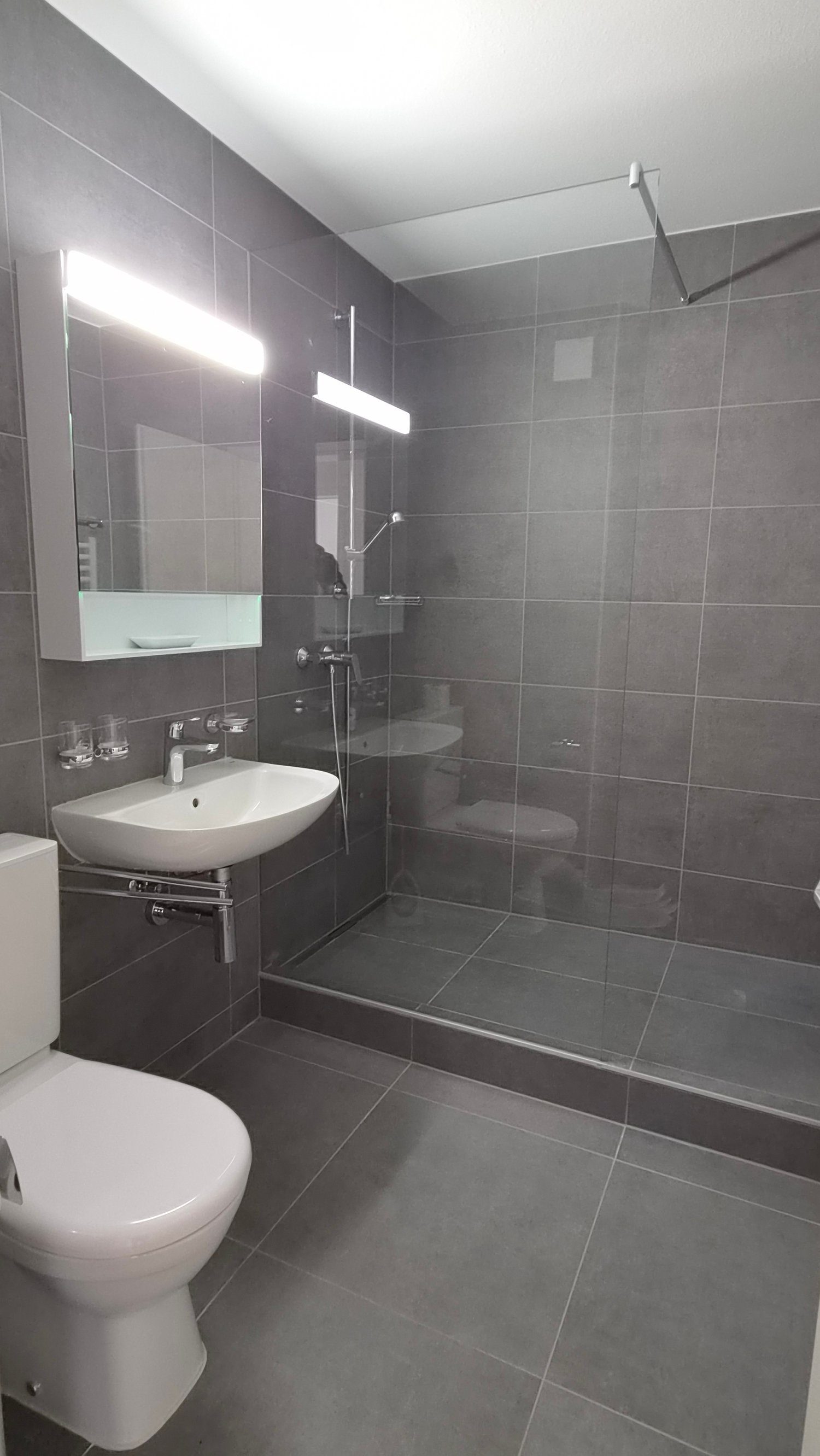 3 ½ Zimmer Wohnung