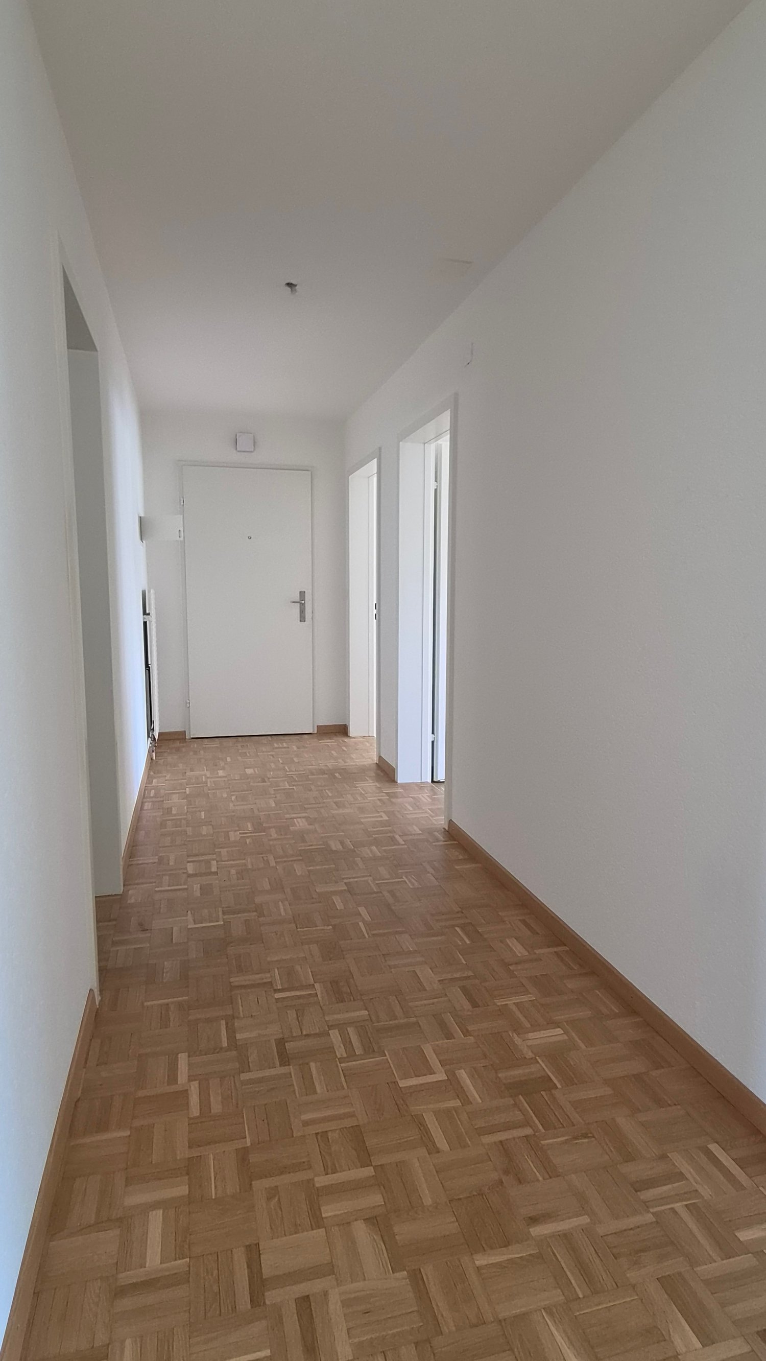 3 ½ Zimmer Wohnung