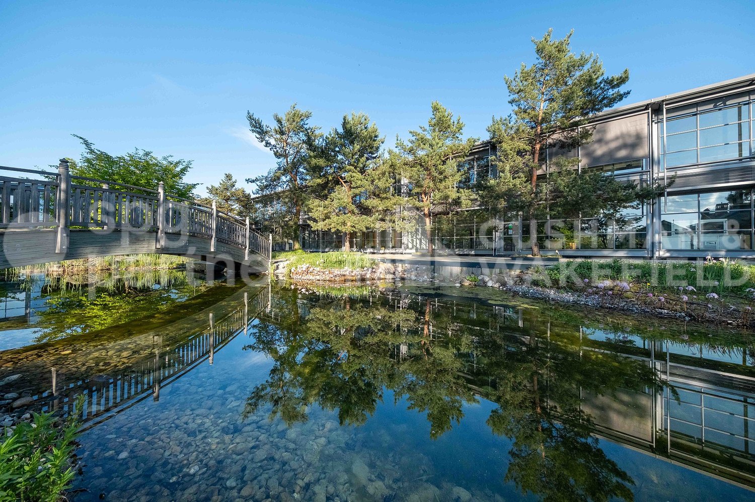 1450m² office, photo 7 of 10