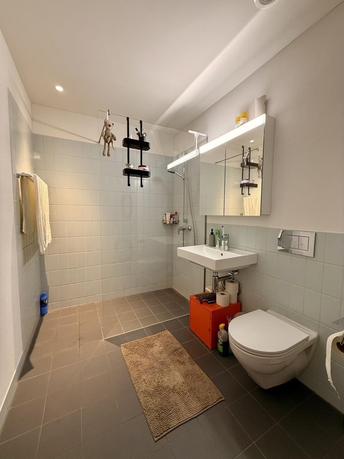 Chambre lumineuse près de la forêt à Kloten - colocataire masculin recherché