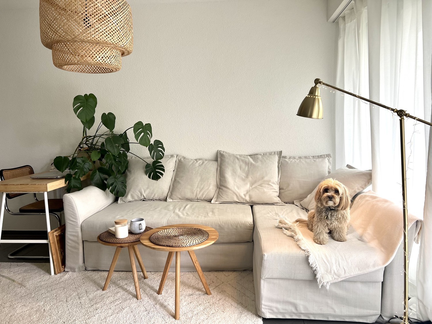1 ½ Zimmer-Apartment, Foto 1 von 7