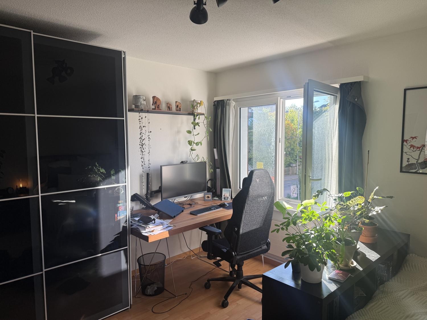 Zimmer in einer WG, Foto 1 von 5