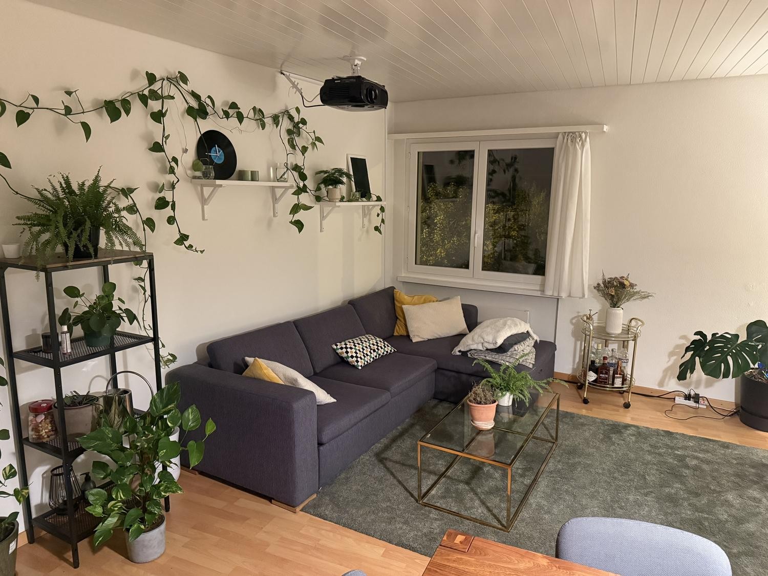 Zimmer in einer WG, Foto 3 von 5