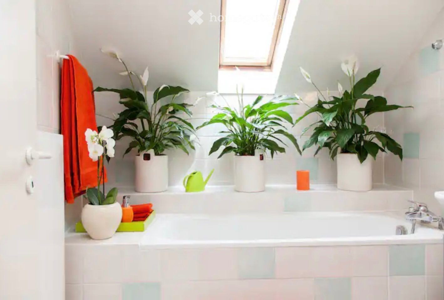 3 Zimmer Wohnung, Foto 3 von 5