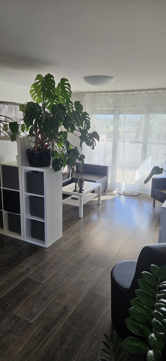 2 ½ rooms apartment, Foto 4 von 9
