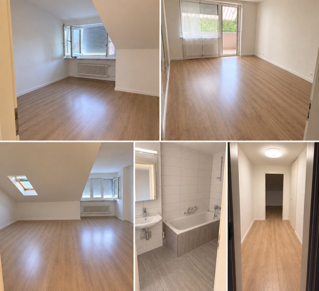 3 ½ rooms duplex