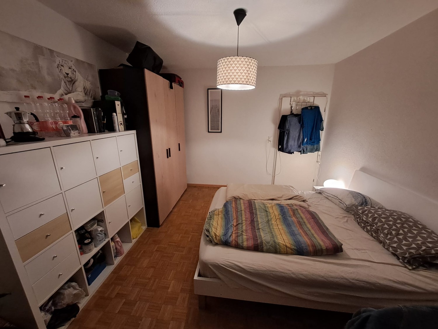 Room in a shared flat