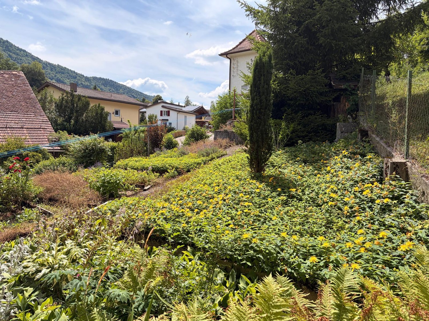 Casa singola di 7 ½ locali, foto 4 di 10