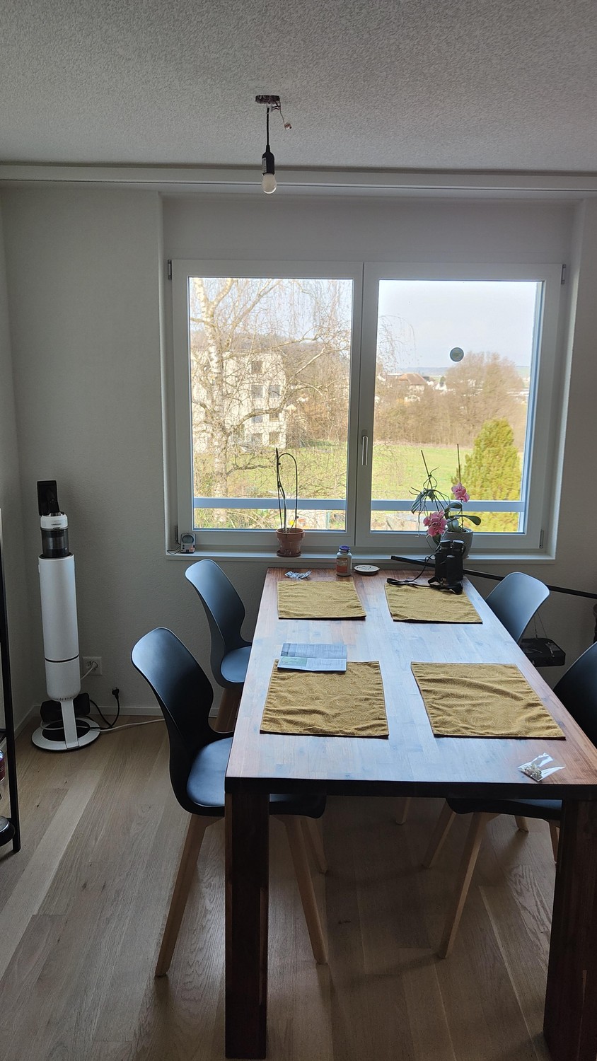 Appartement de 3 ½ pièces