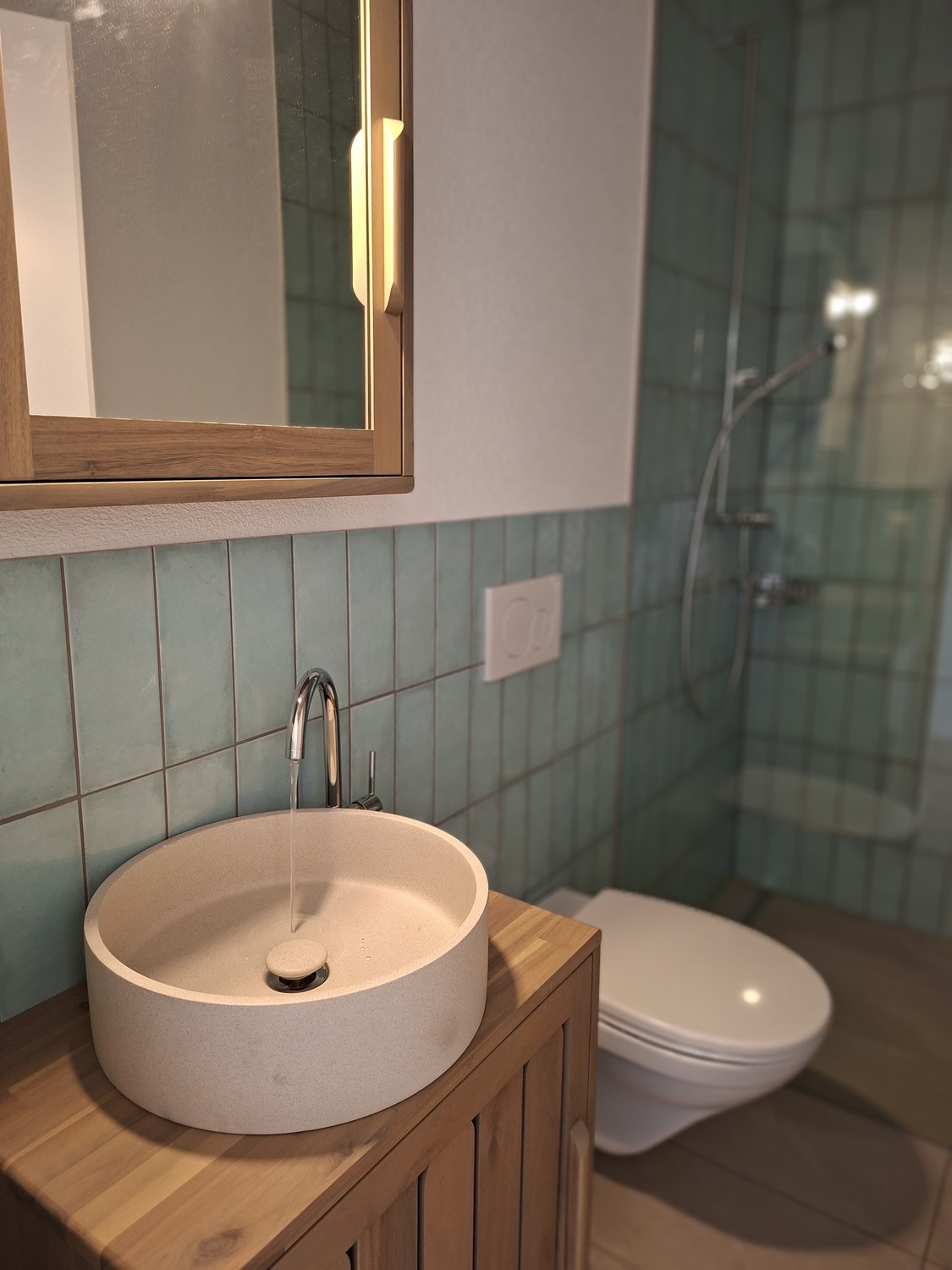 2 rooms apartment (5)