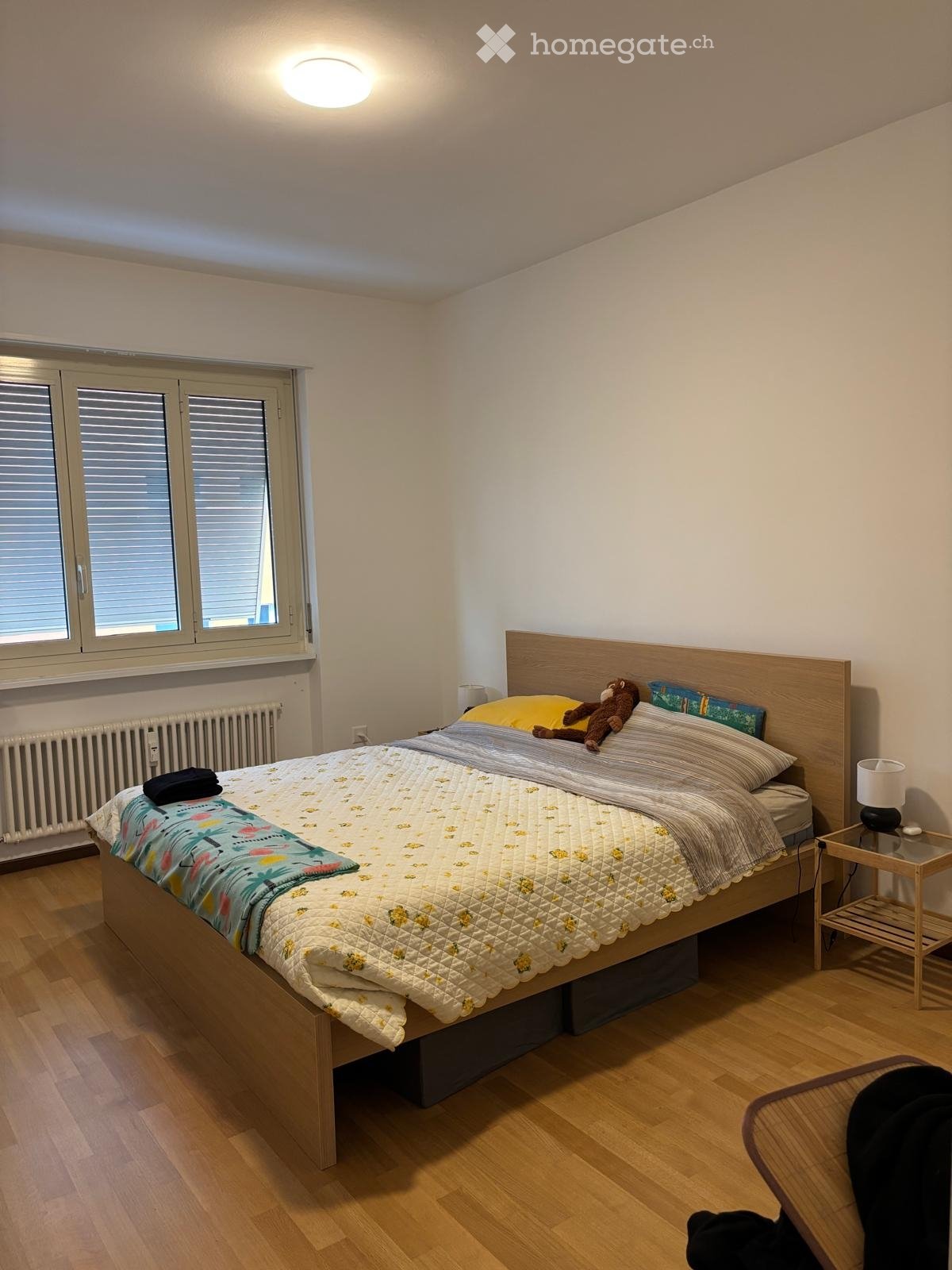 4 ½ Zimmer-Wohnung