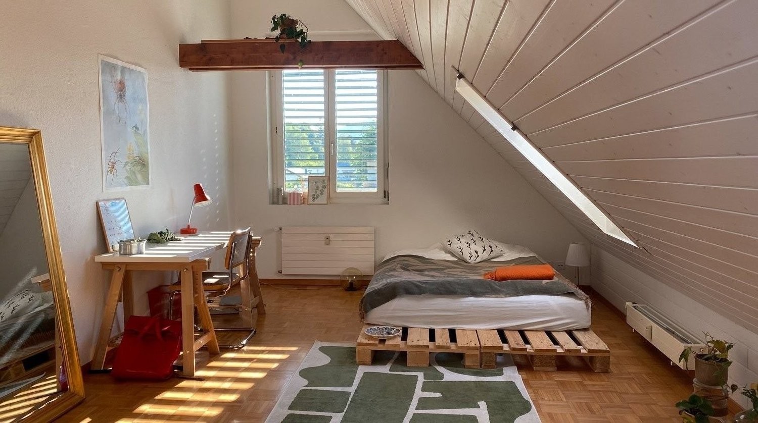 Room in a shared flat