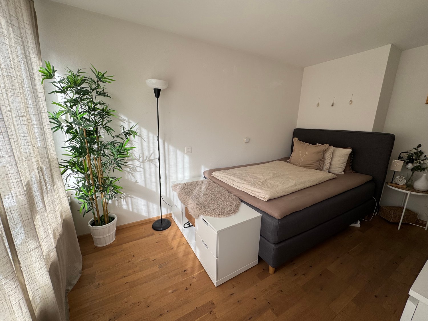 Room in a shared flat