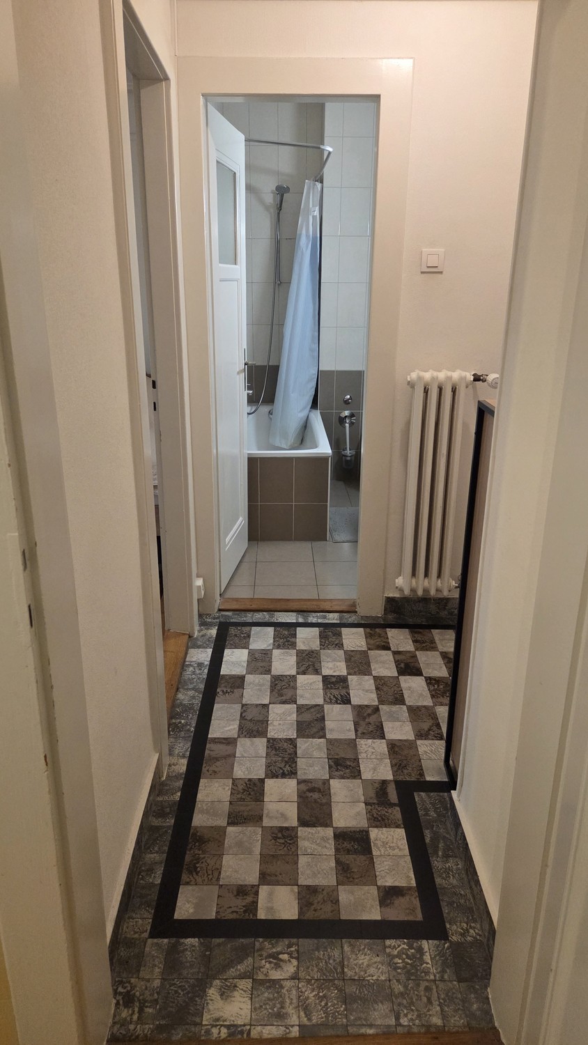 Appartement 1 pièce