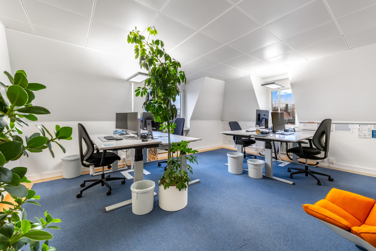 874m² office, Foto 10 von 10