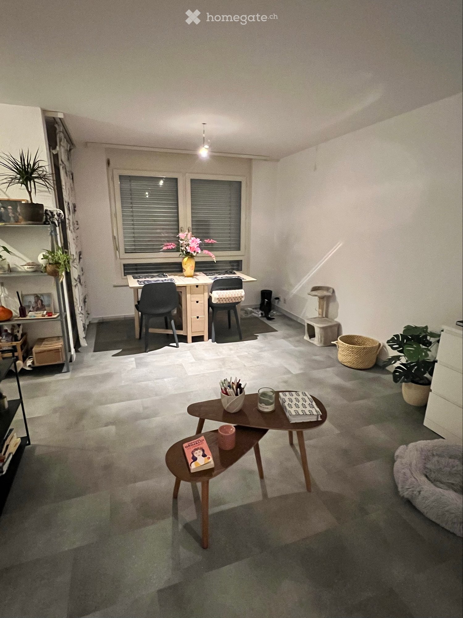 1 rooms apartment