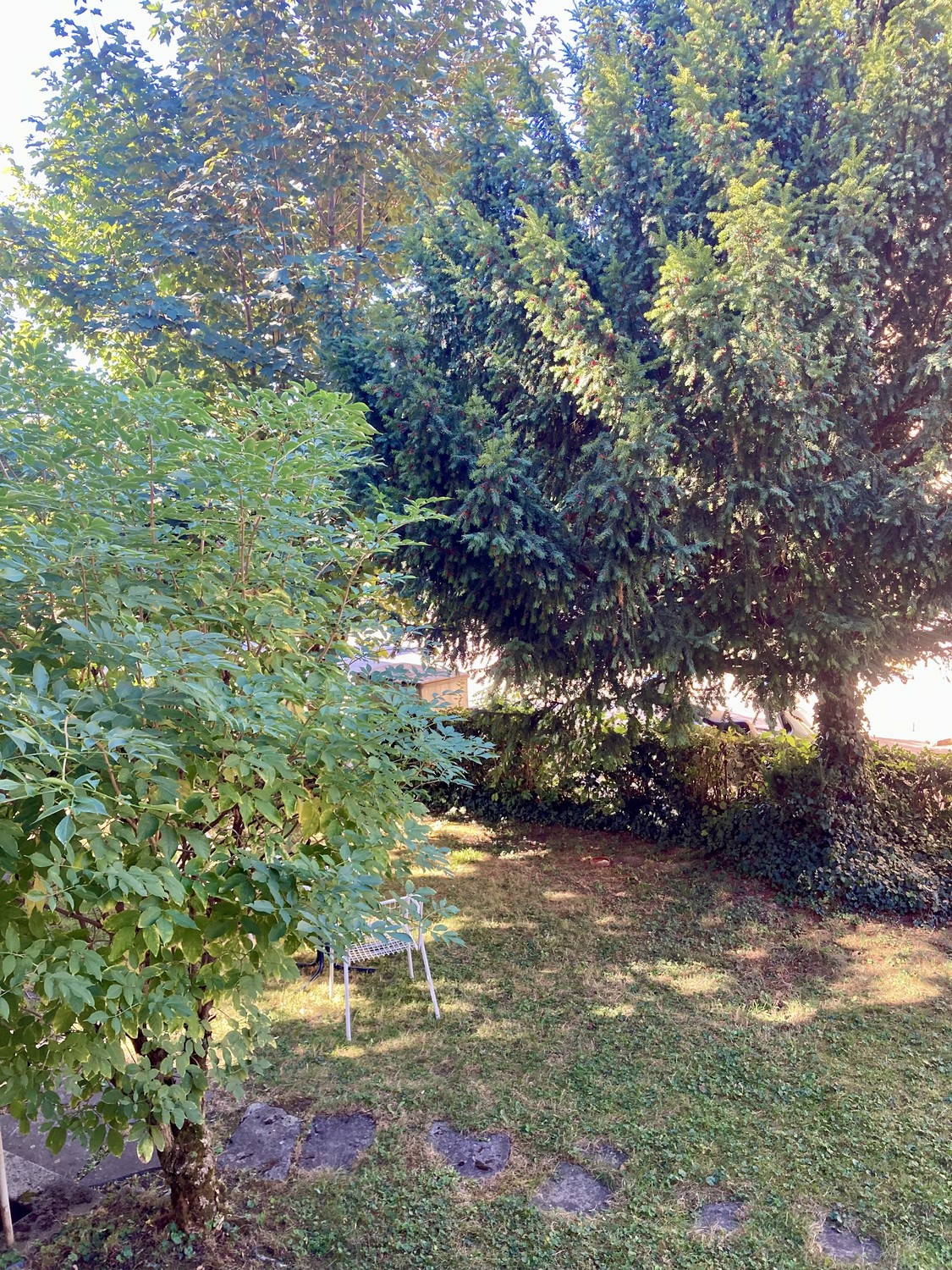 1 ½ rooms apartment, Foto 6 von 6