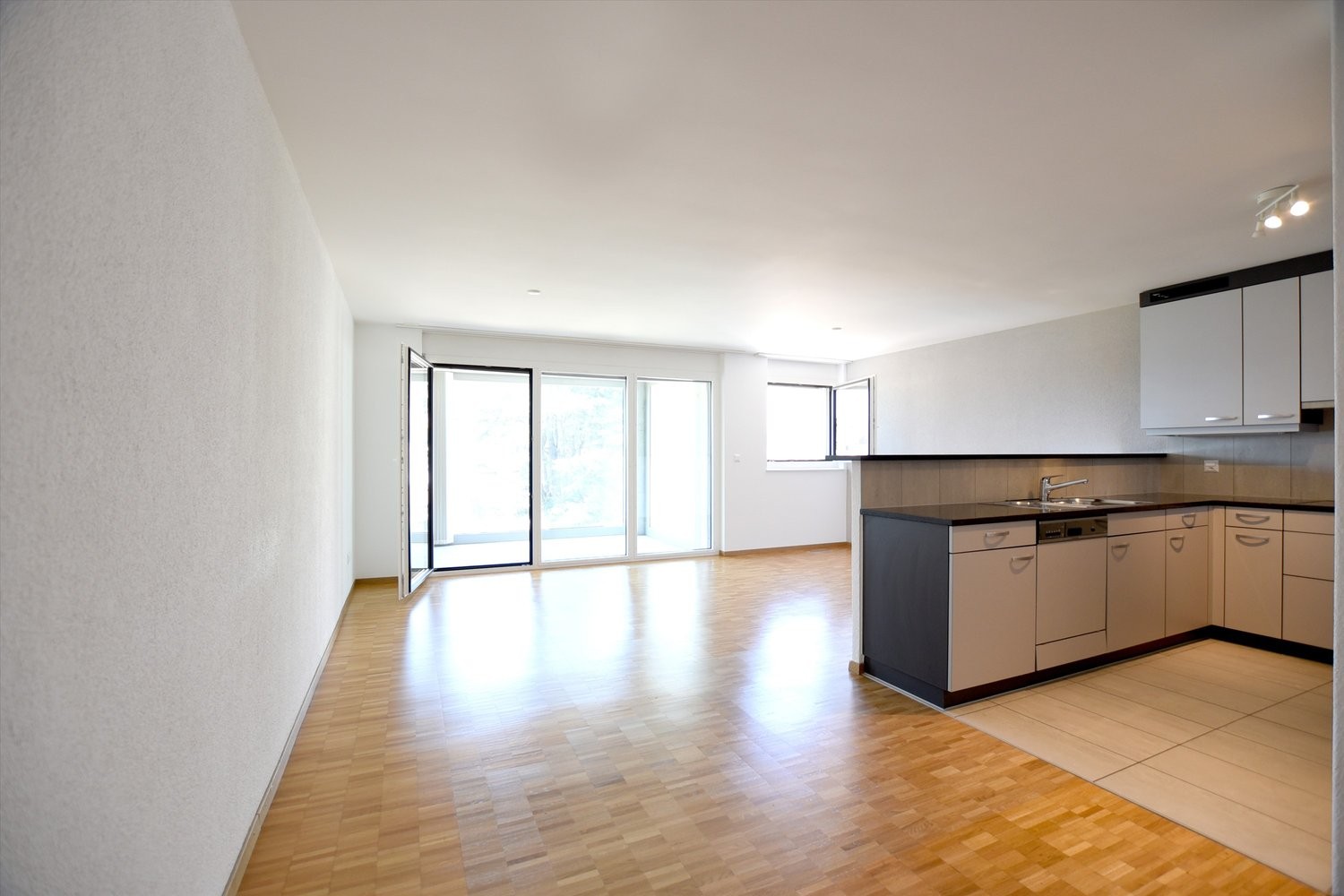 4 ½ Zimmer-Wohnung
