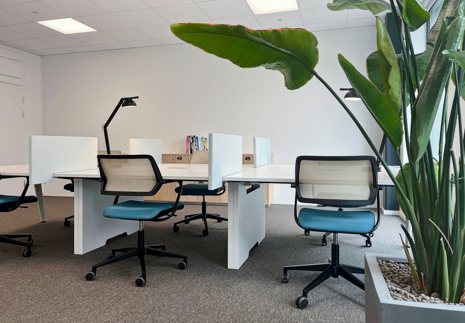 280m² office