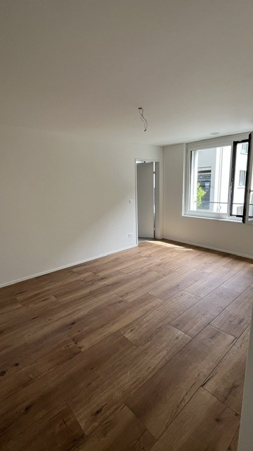 3 ½ rooms apartment (8)