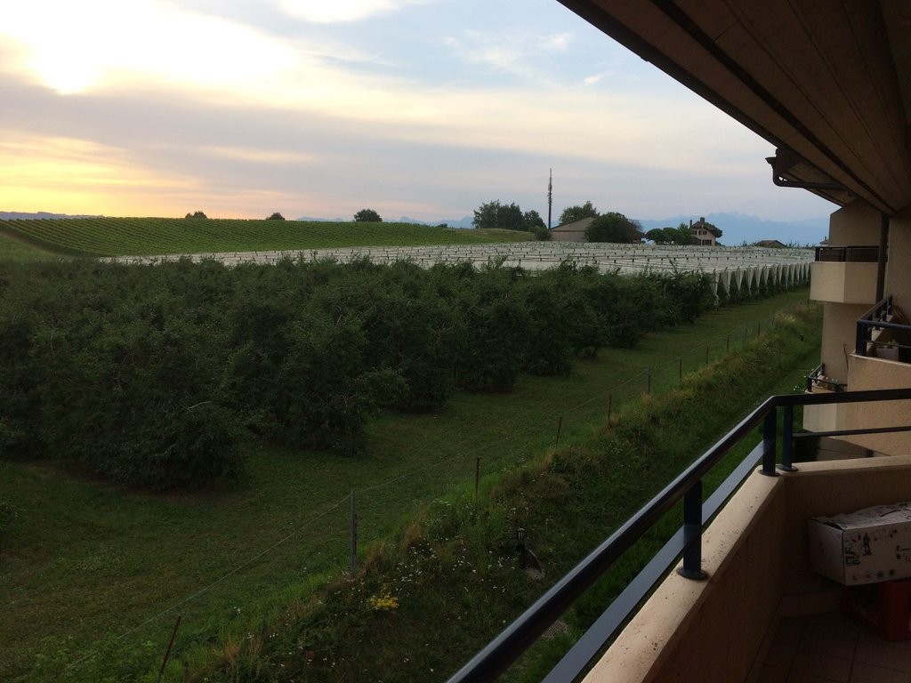 Appartamento di 3 ½ locali