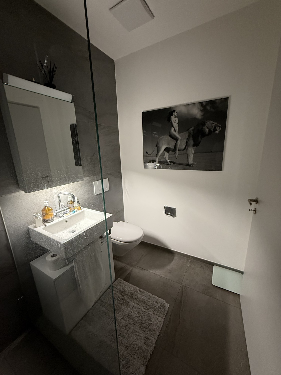 2 ½ Zimmer-Wohnung, Foto 10 von 10