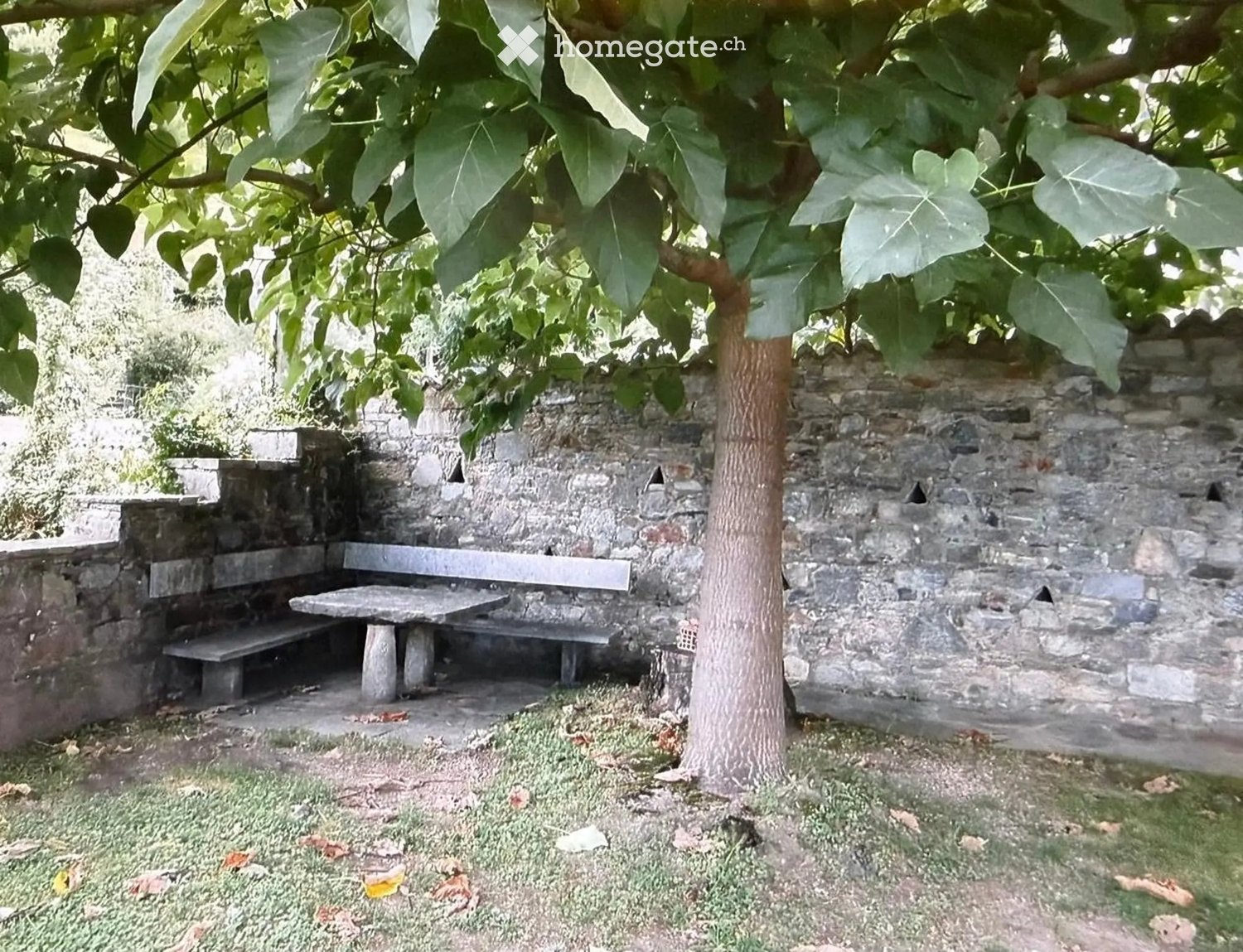6 Zimmer Einfamilienhaus