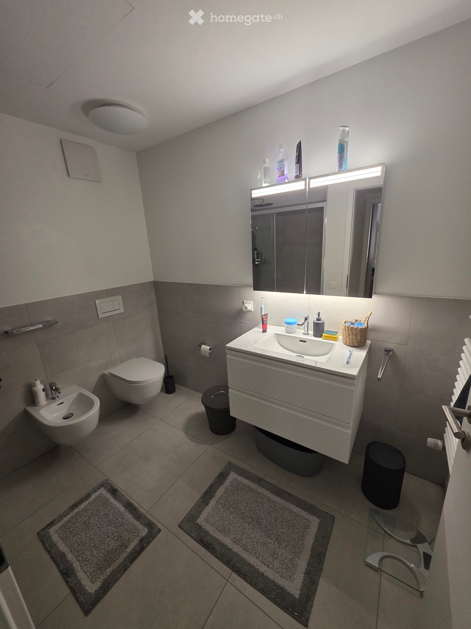 2 ½ rooms apartment