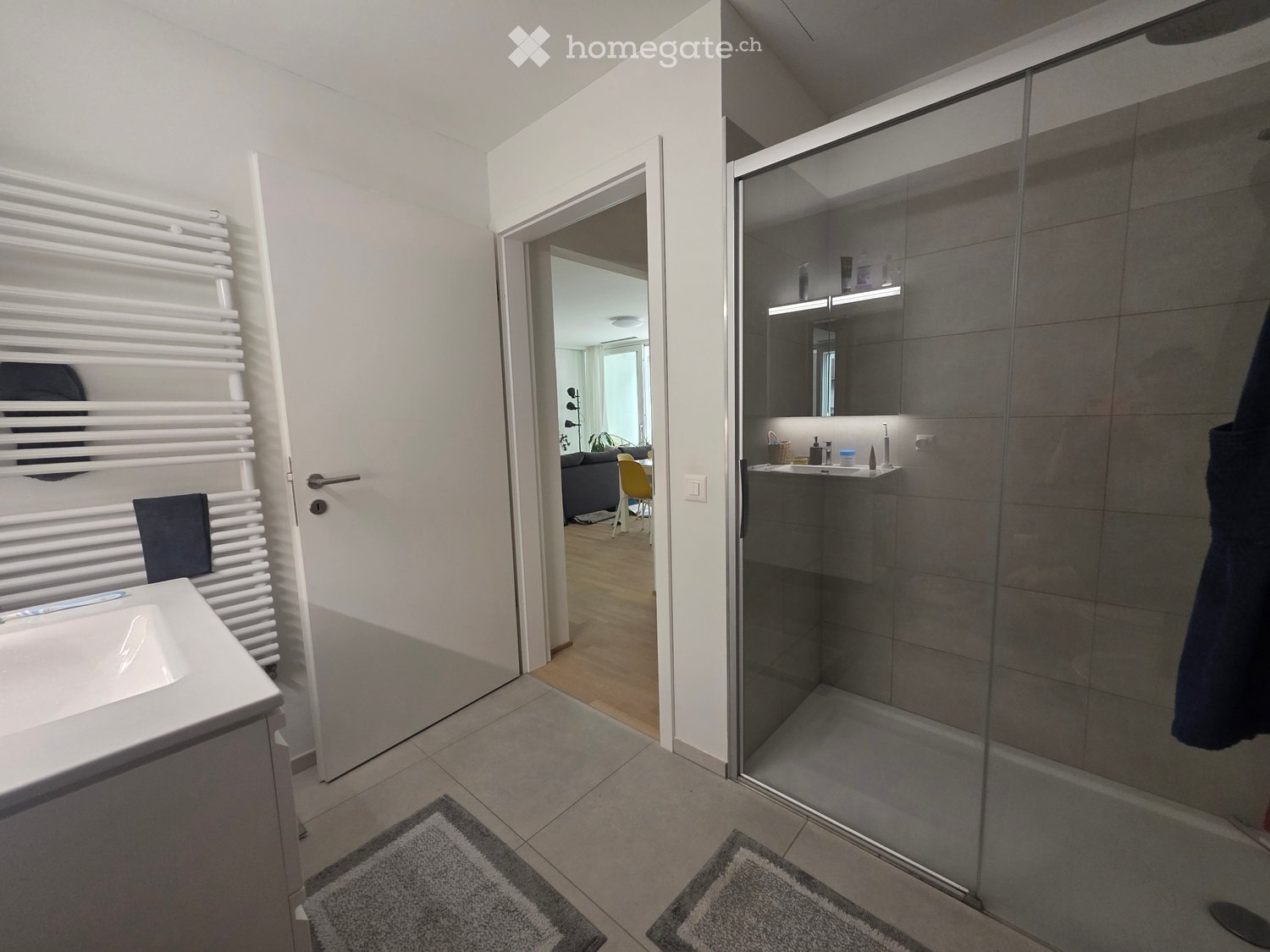 2 ½ rooms apartment