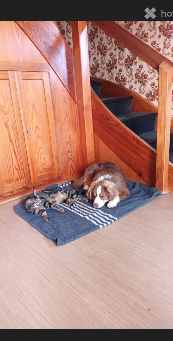 3 ½ Zimmer Wohnung