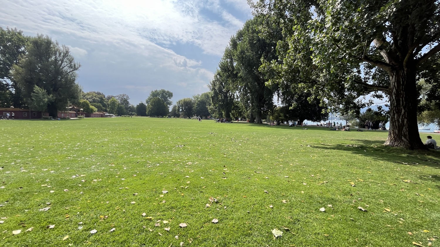 Zimmer in einer WG, Foto 5 von 6