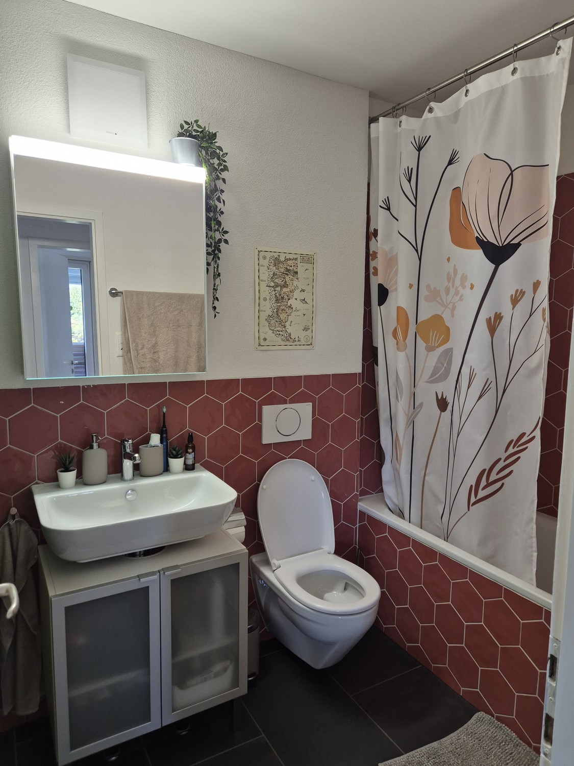 Appartement de 3 ½ pièces
