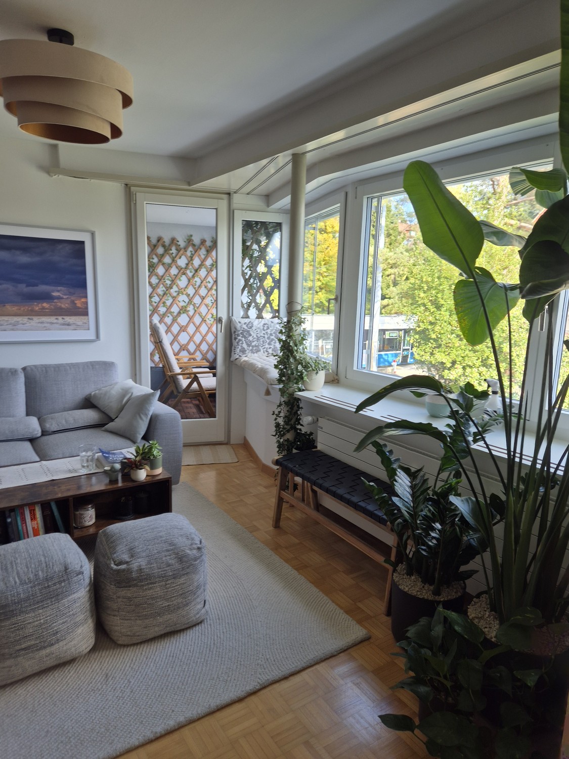Appartement de 3 ½ pièces
