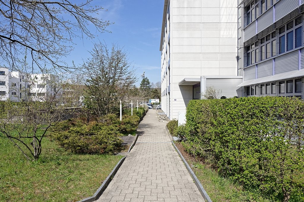 46m² office