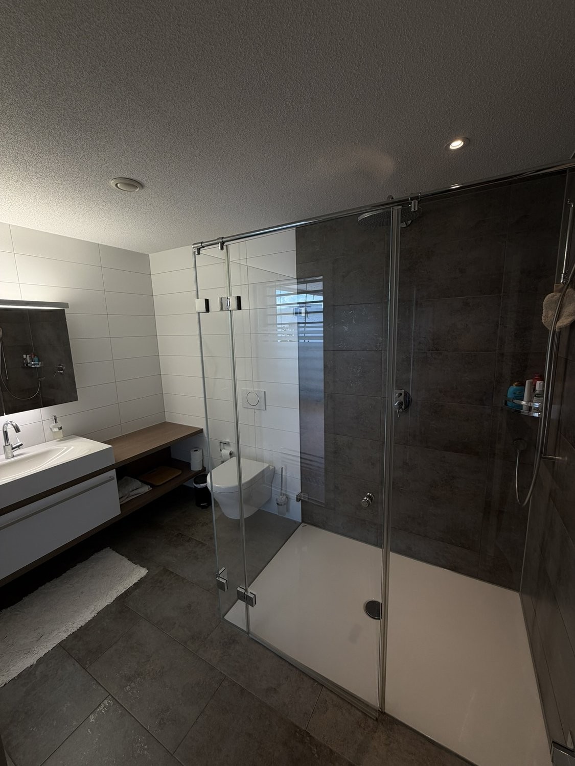 6 ½ rooms furnished flat