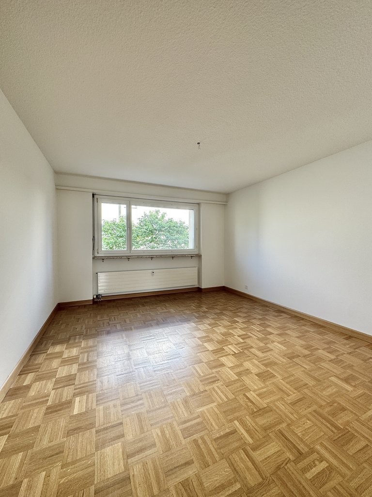 4 ½ rooms apartment (6)