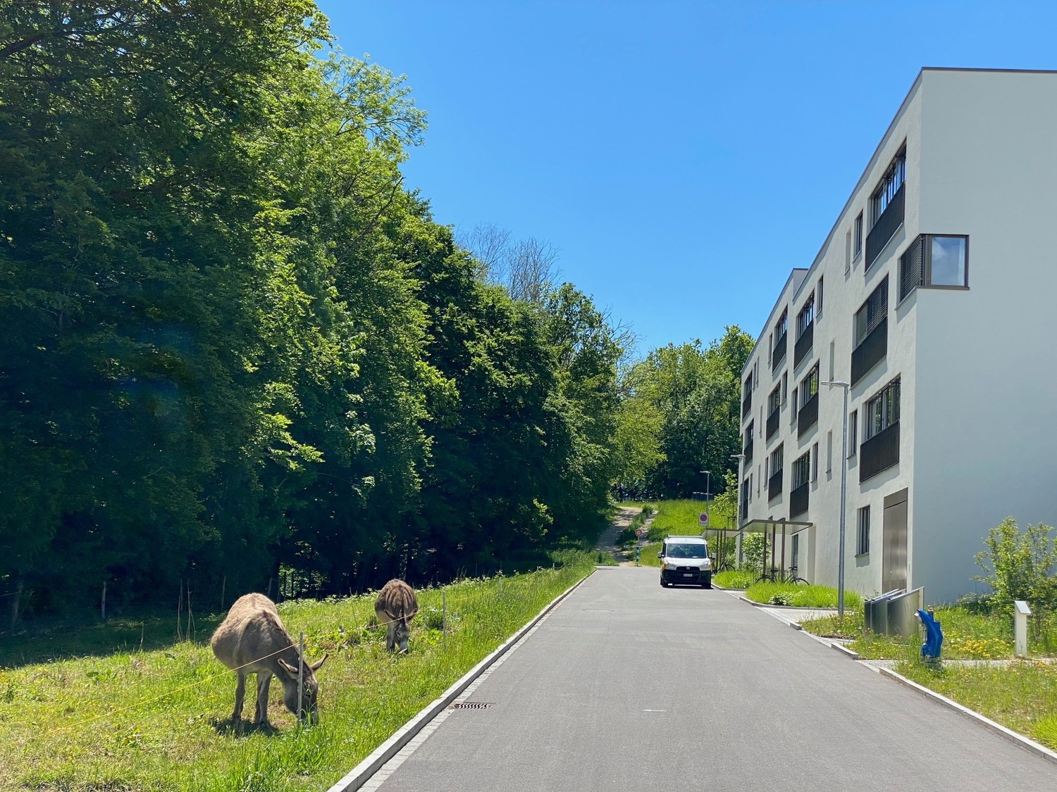 Appartamento di 4 ½ locali