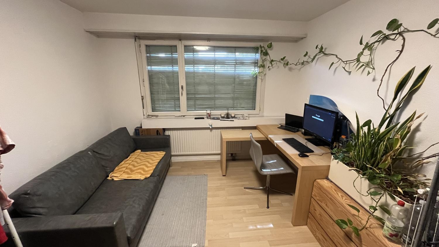 Room in a shared flat
