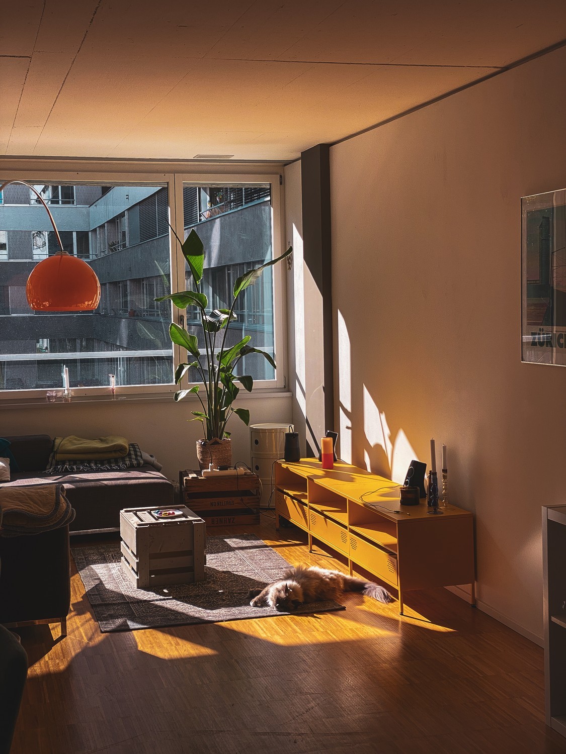 Room in a shared flat