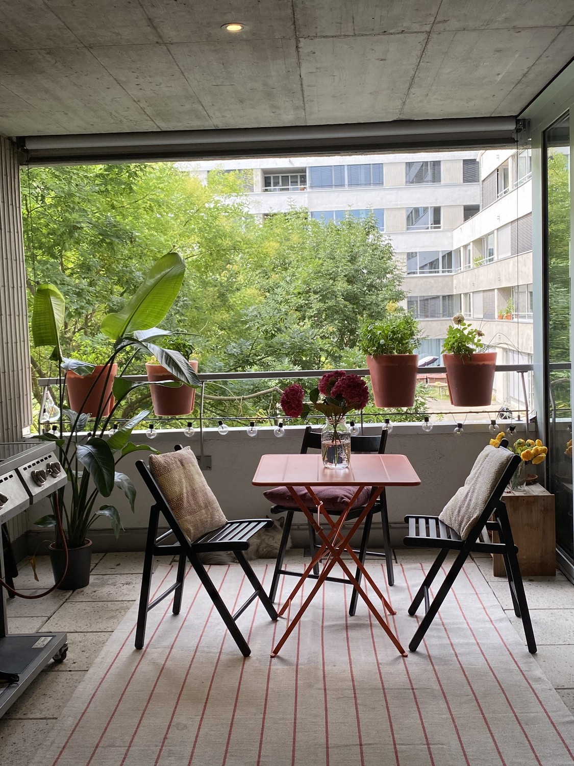 Room in a shared flat