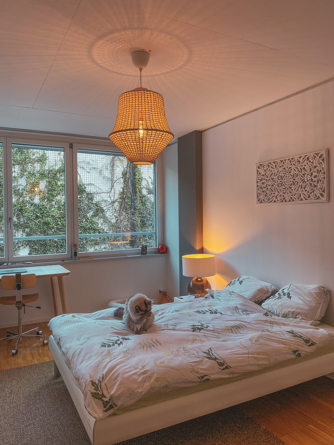 Room in a shared flat