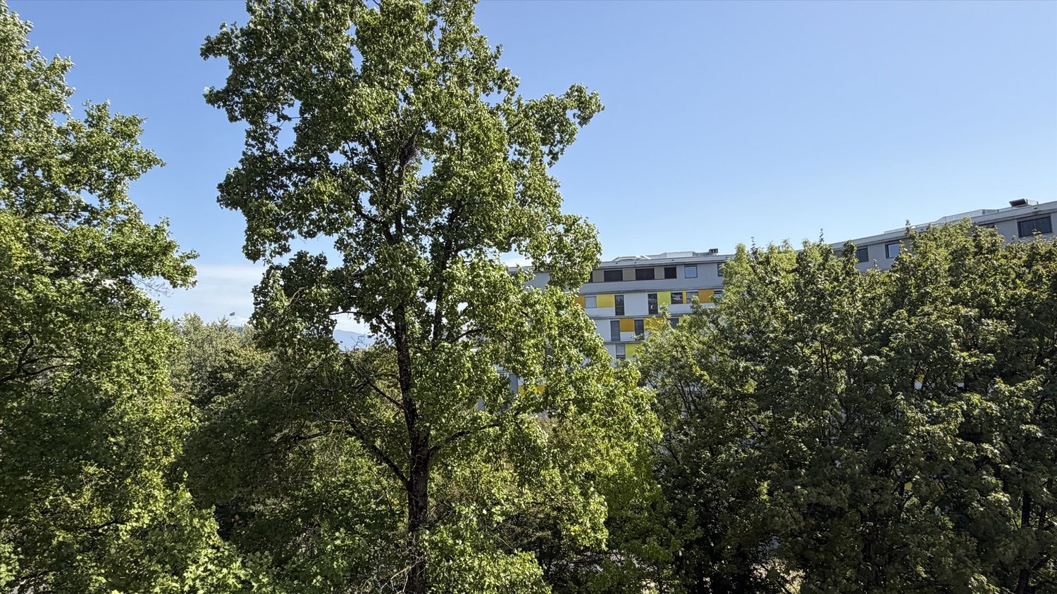 4-Zimmer-Wohnung