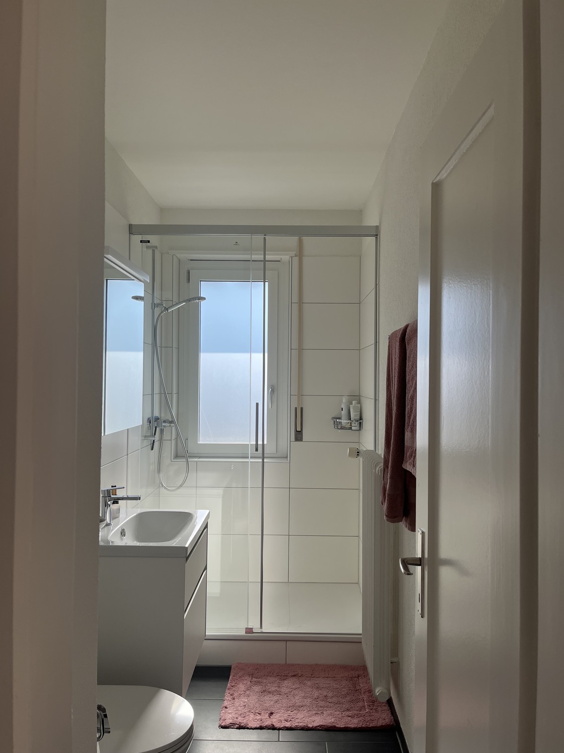 1 ½ rooms apartment (6)