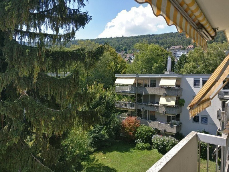 3 ½ rooms apartment (10)