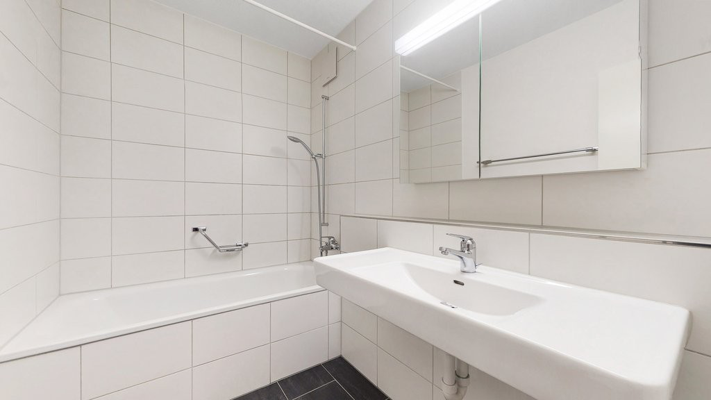 3 ½ rooms apartment (3)