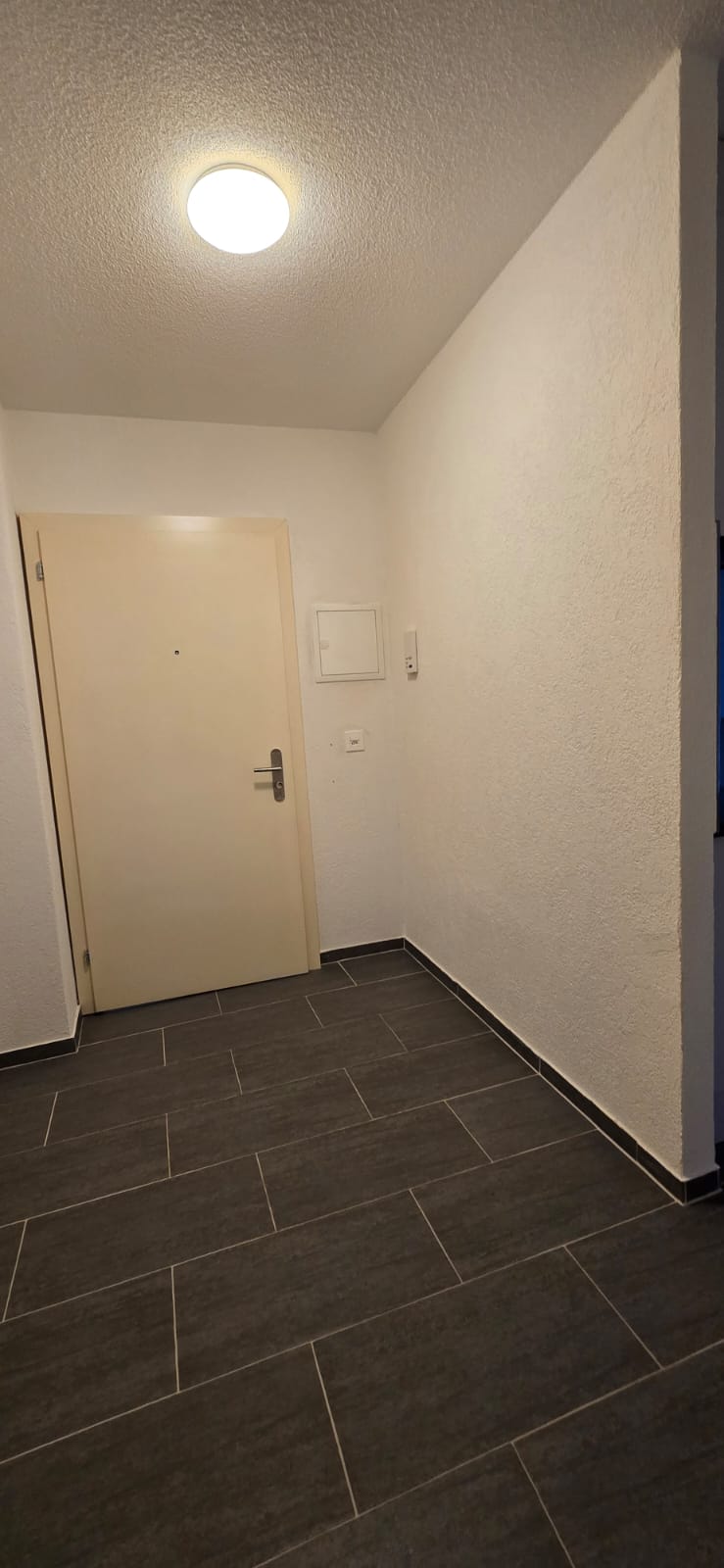 1 room apartment