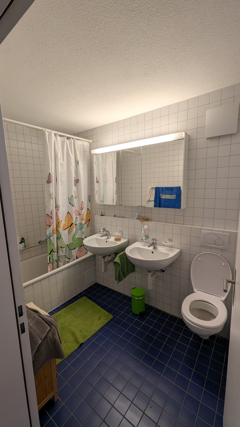 2 ½ rooms apartment